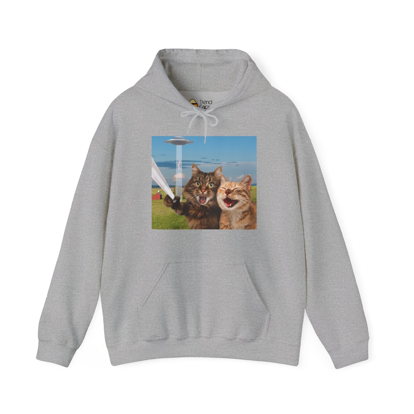 Cat UFO Selfie Heavy Hoodie