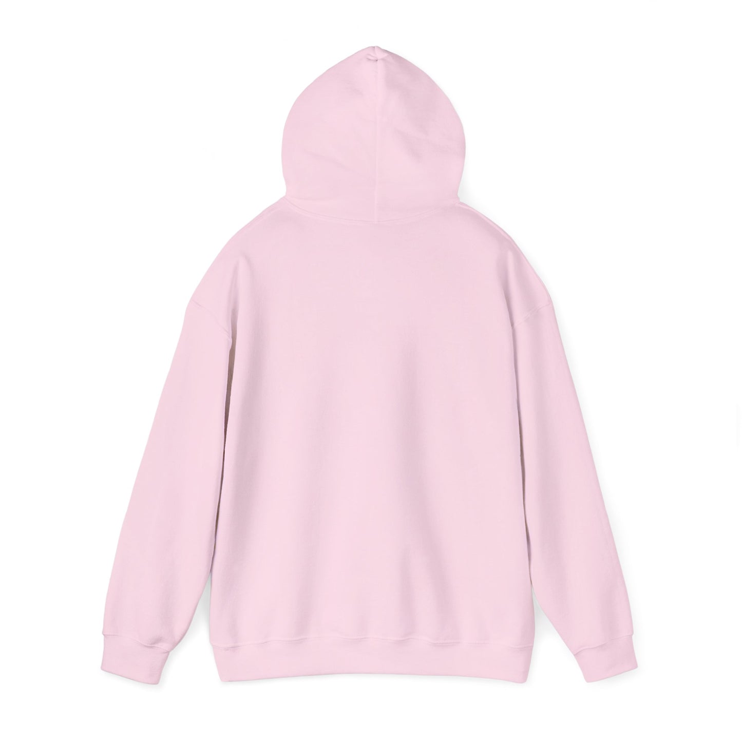 Cat UFO Selfie Heavy Hoodie