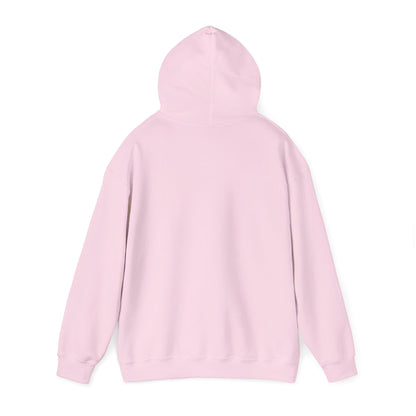 Cat UFO Selfie Heavy Hoodie
