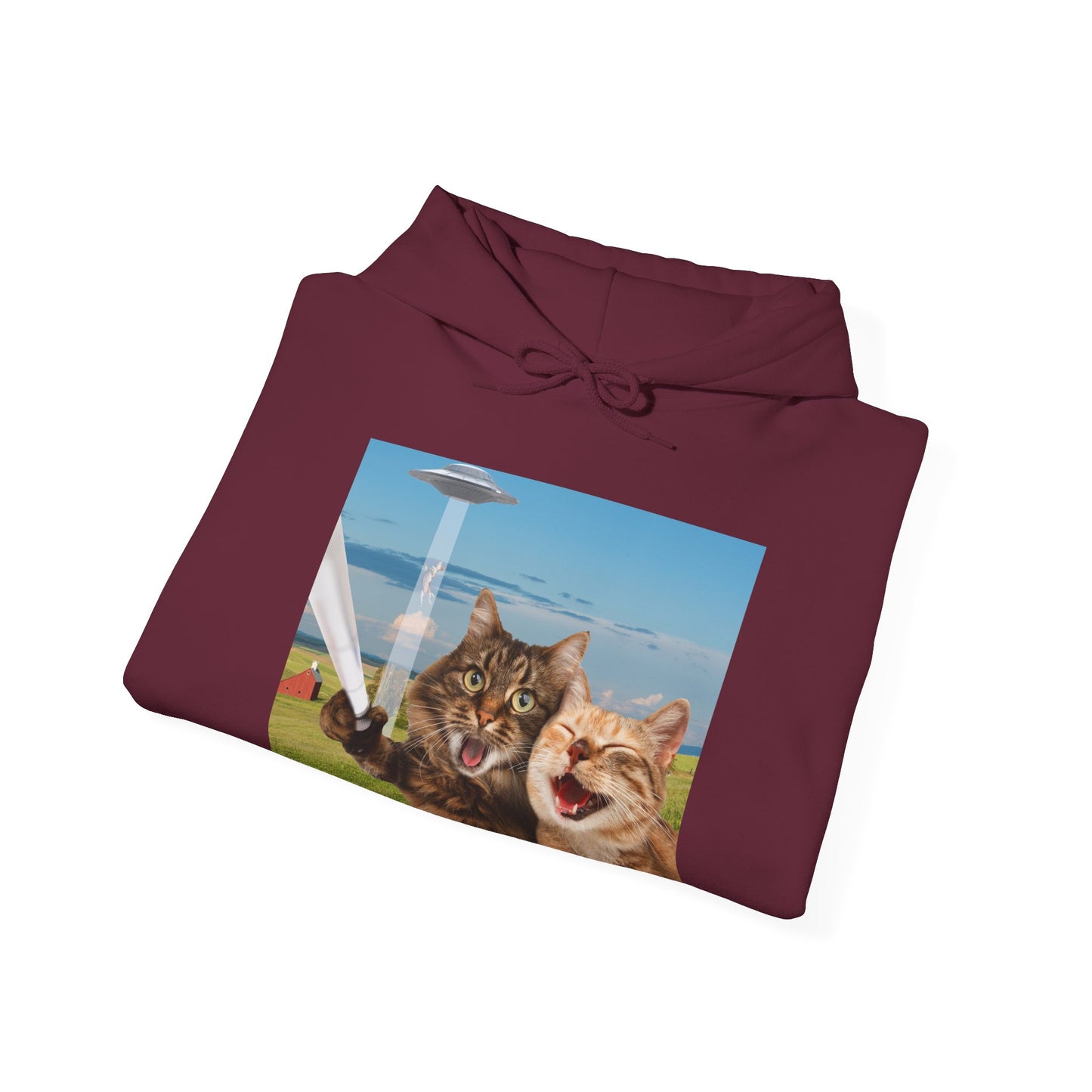 Cat UFO Selfie Heavy Hoodie