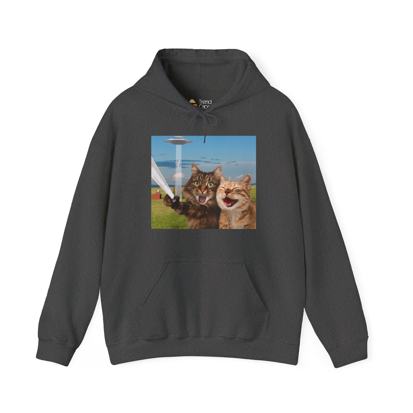 Cat UFO Selfie Heavy Hoodie
