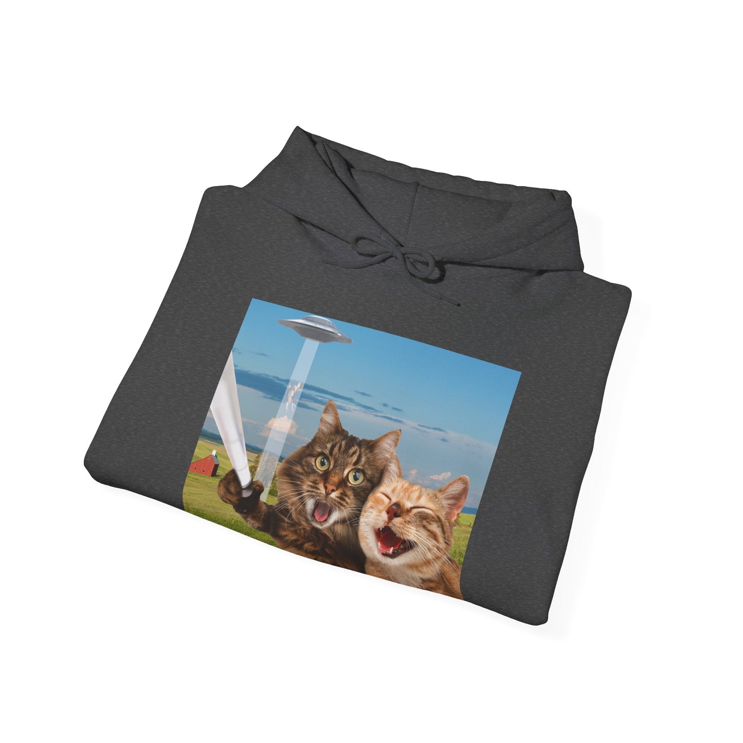 Cat UFO Selfie Heavy Hoodie
