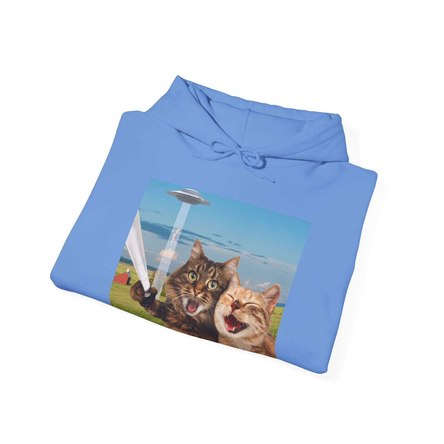 Cat UFO Selfie Heavy Hoodie