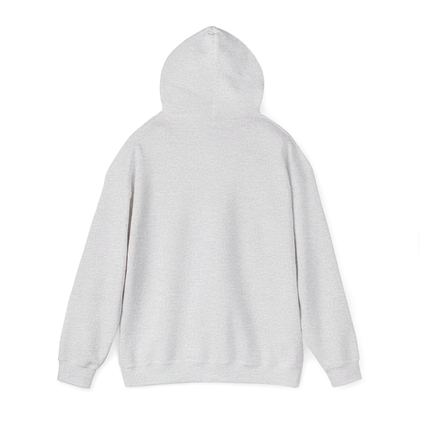 Cat UFO Selfie Heavy Hoodie