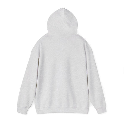 Cat UFO Selfie Heavy Hoodie