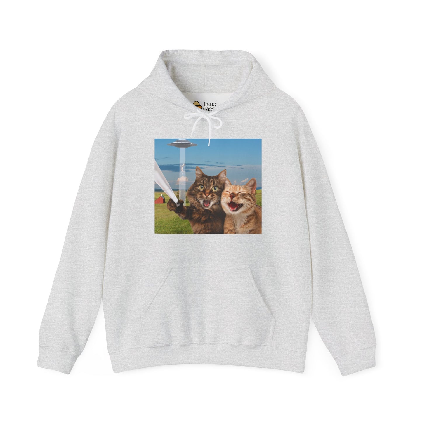 Cat UFO Selfie Heavy Hoodie