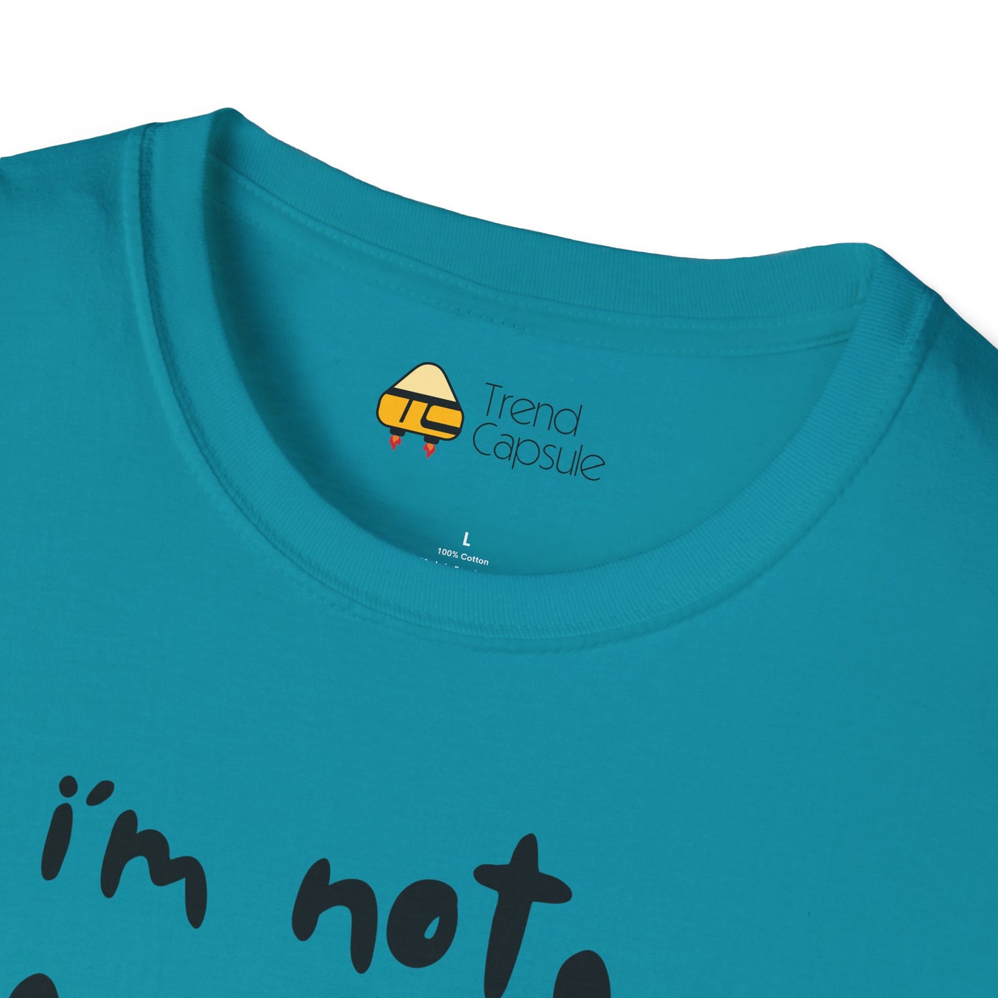"I'm Not Mad, I Just Don't Like You" Softstyle T-Shirt