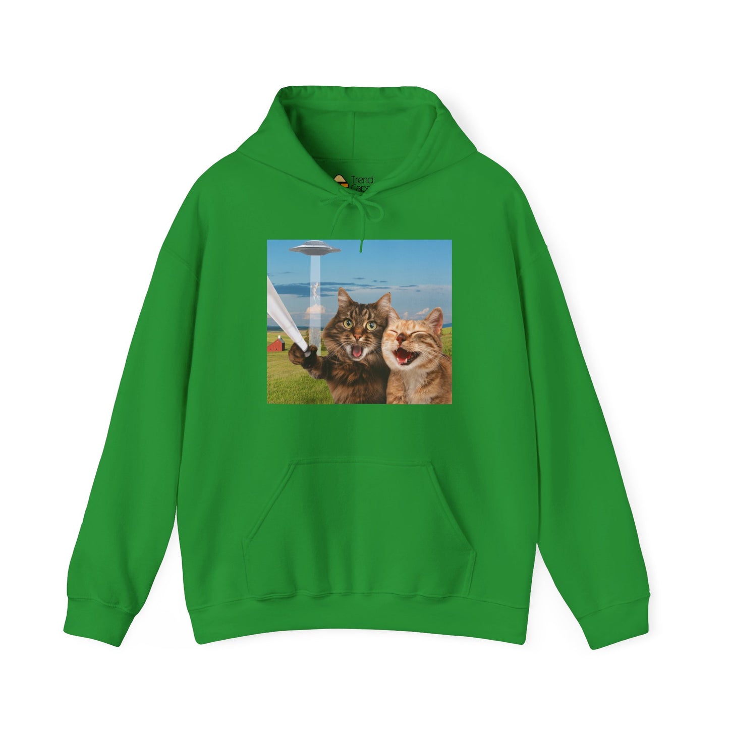 Cat UFO Selfie Heavy Hoodie