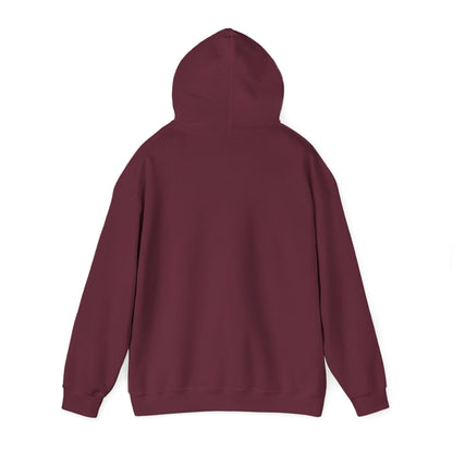 Cat UFO Selfie Heavy Hoodie