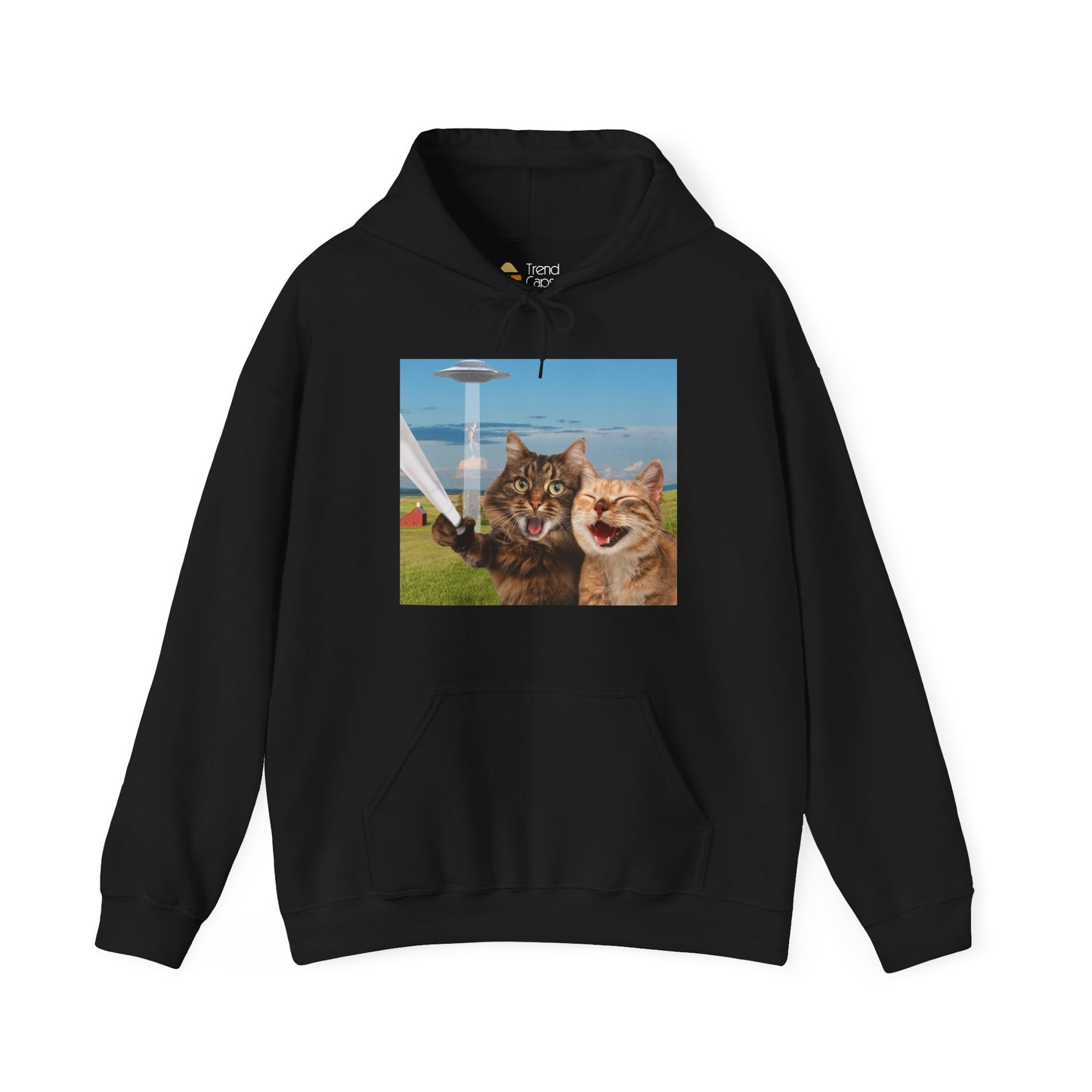 Cat UFO Selfie Heavy Hoodie