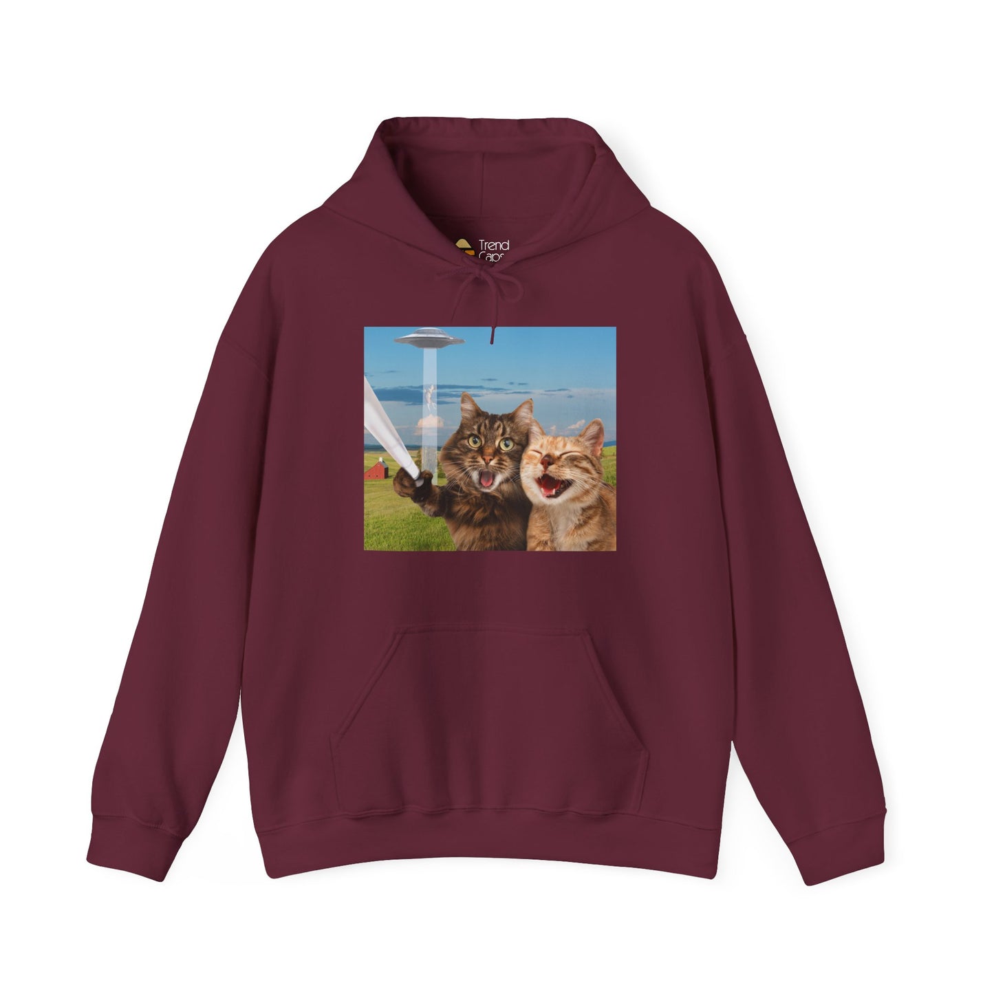 Cat UFO Selfie Heavy Hoodie