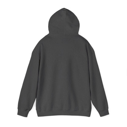 Cat UFO Selfie Heavy Hoodie