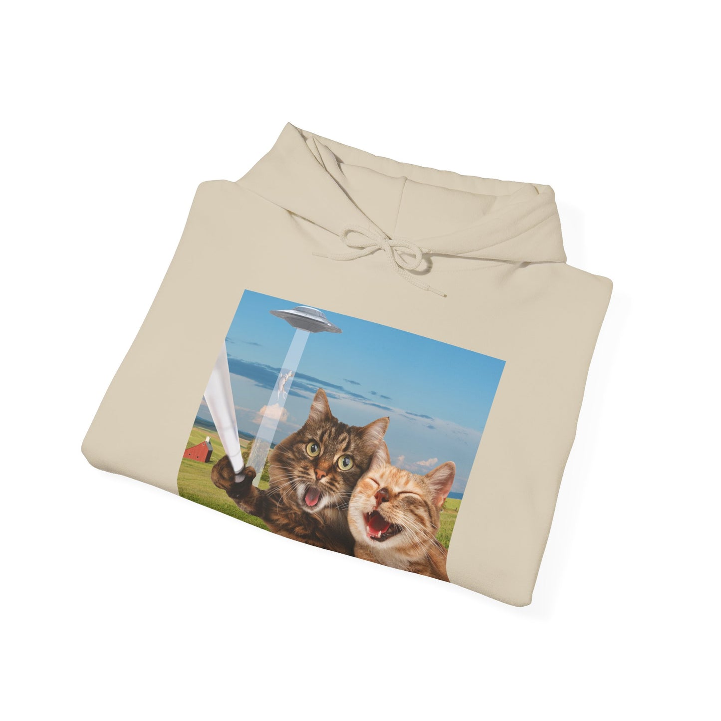 Cat UFO Selfie Heavy Hoodie