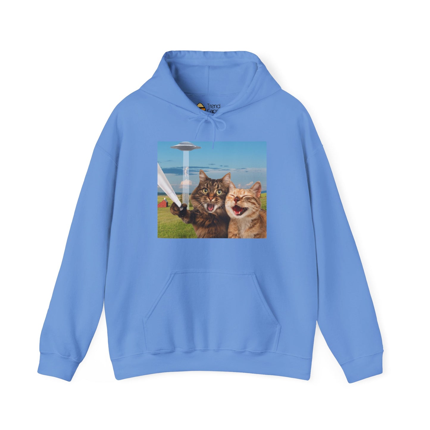Cat UFO Selfie Heavy Hoodie