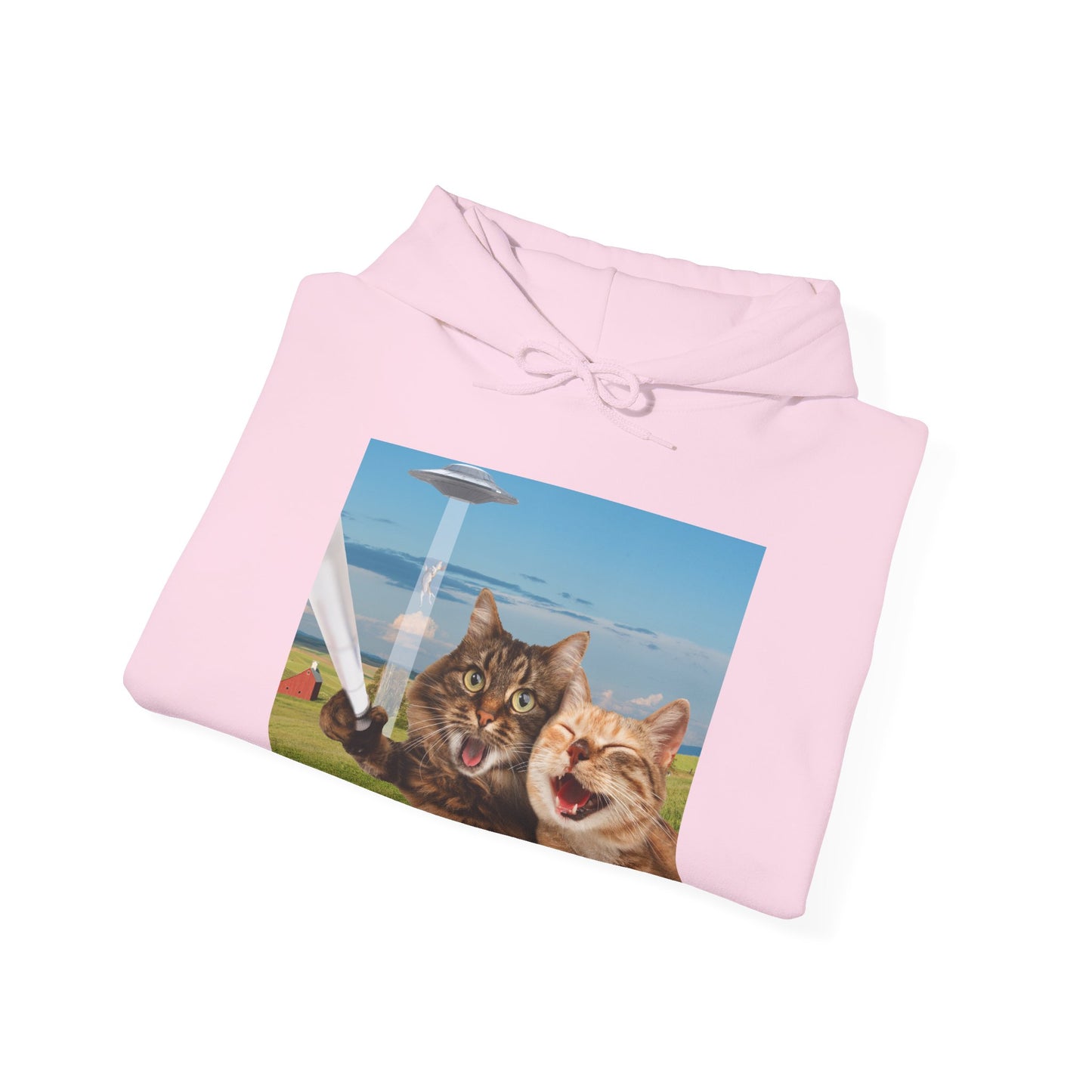 Cat UFO Selfie Heavy Hoodie