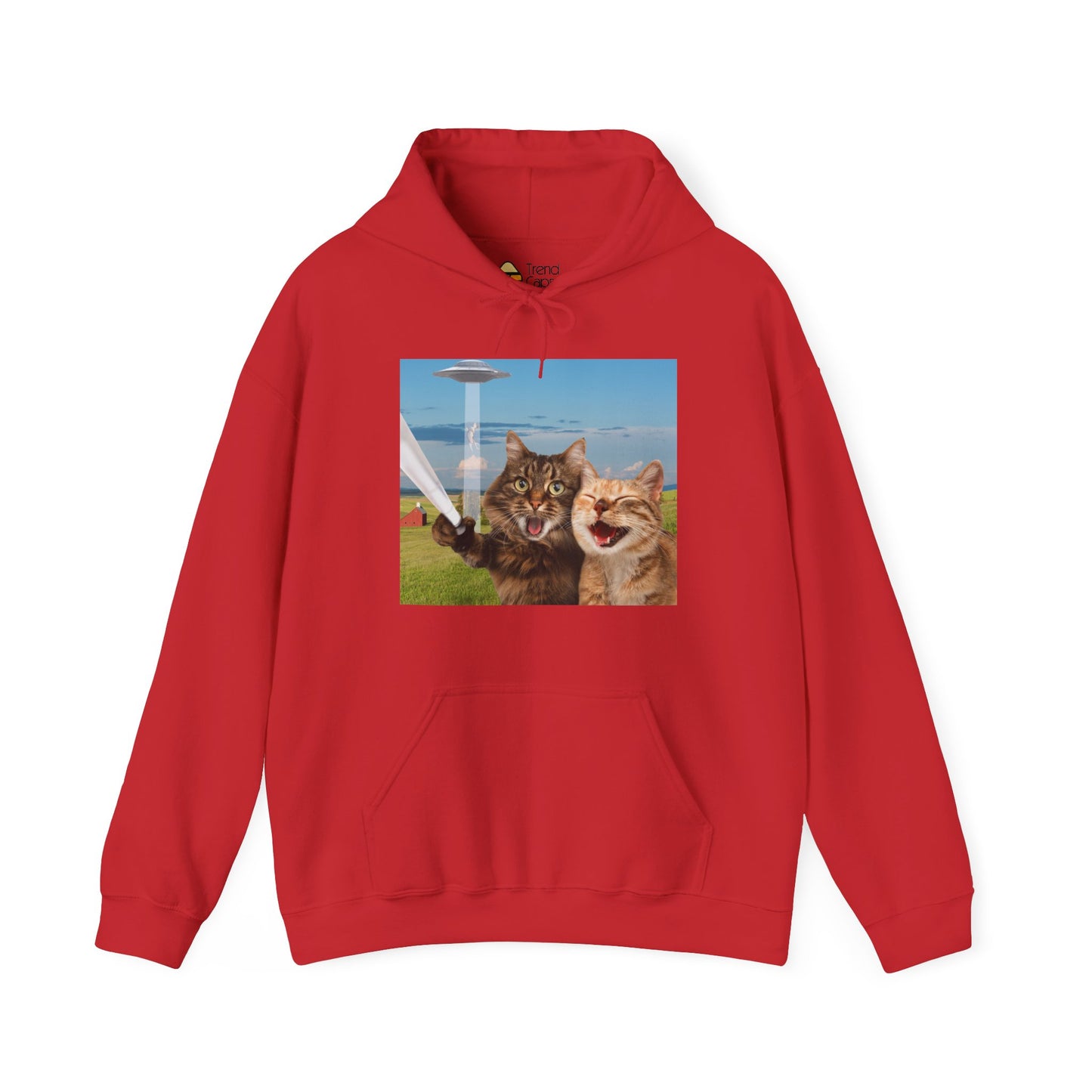 Cat UFO Selfie Heavy Hoodie
