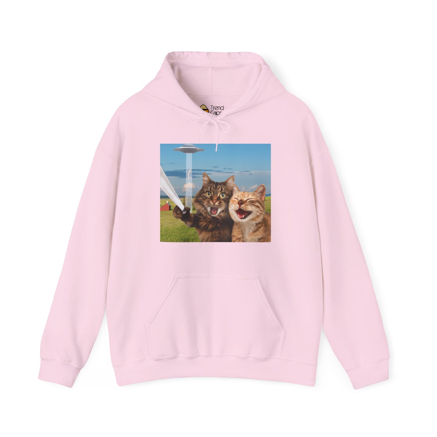 Cat UFO Selfie Heavy Hoodie