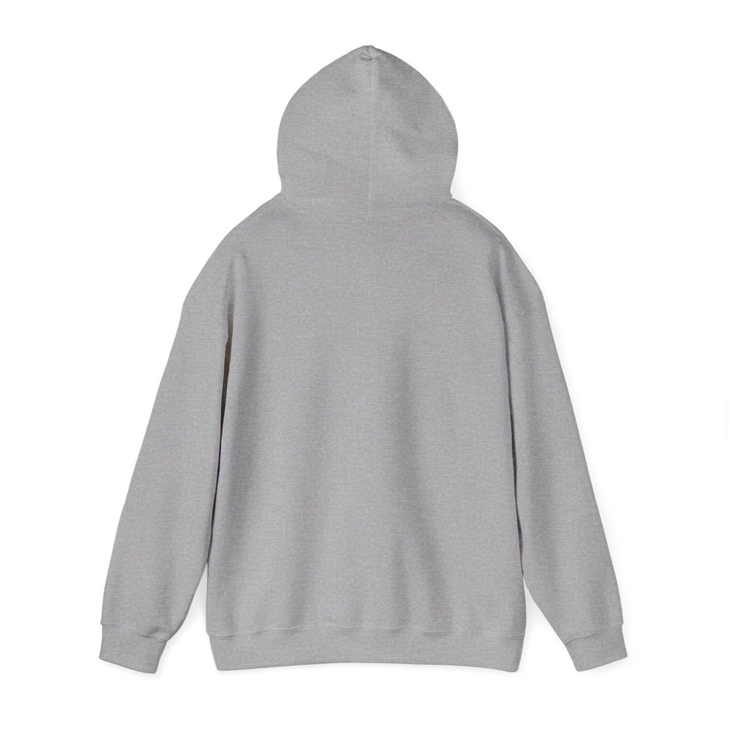 Cosmic Explorer Heavy Hoodie