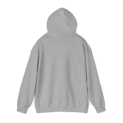 Cosmic Explorer Heavy Hoodie