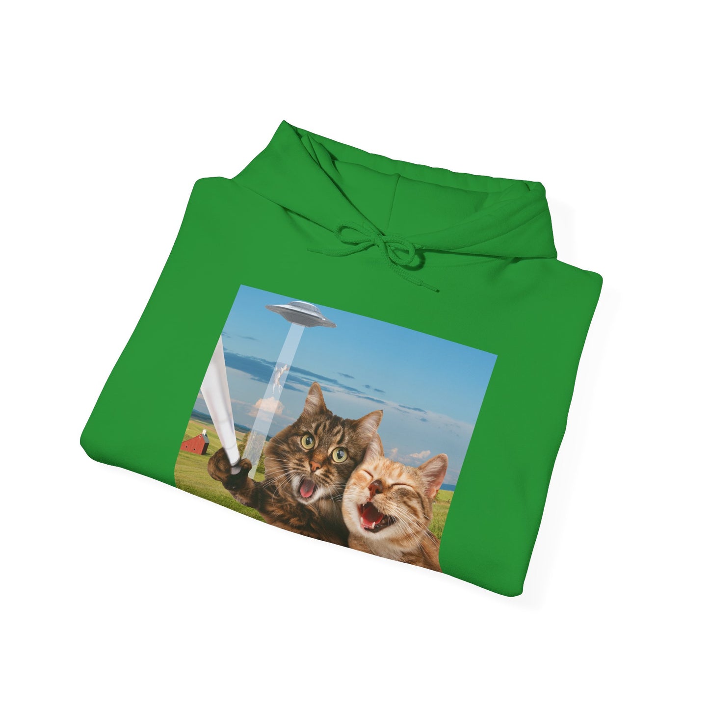 Cat UFO Selfie Heavy Hoodie