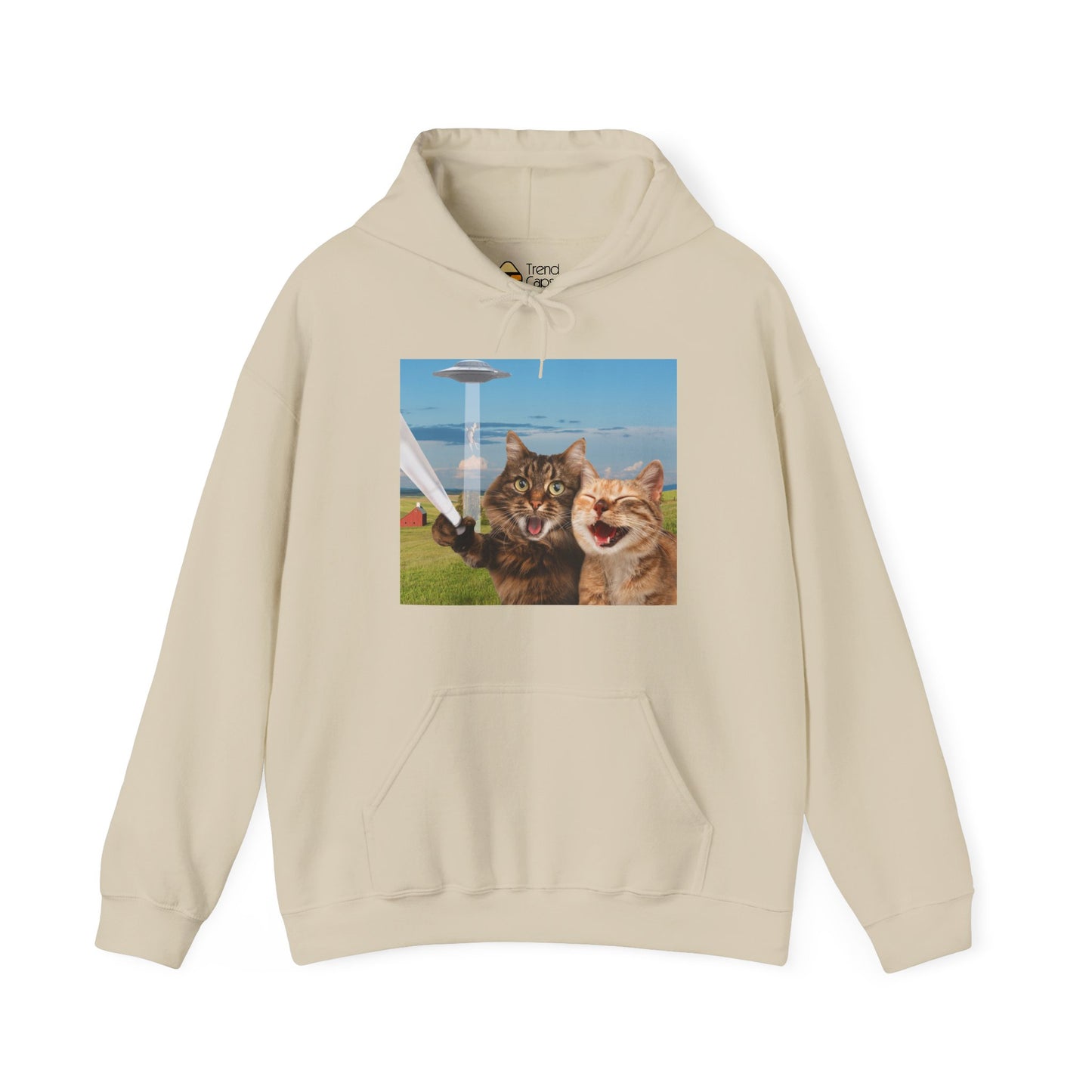 Cat UFO Selfie Heavy Hoodie
