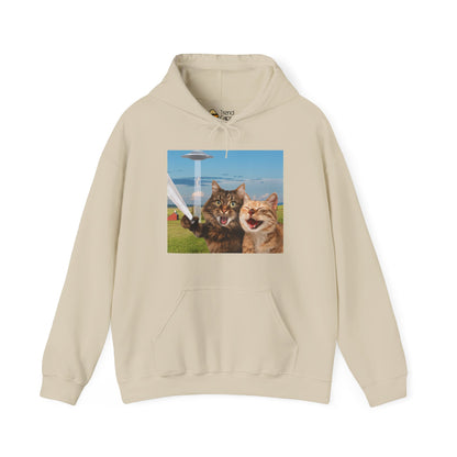 Cat UFO Selfie Heavy Hoodie