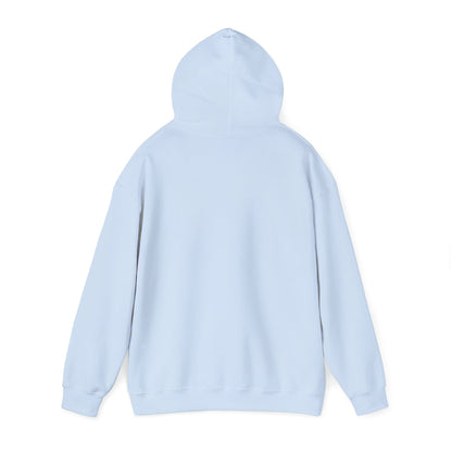Cat UFO Selfie Heavy Hoodie